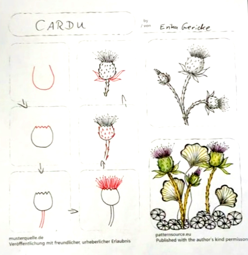 cardu erika gericke