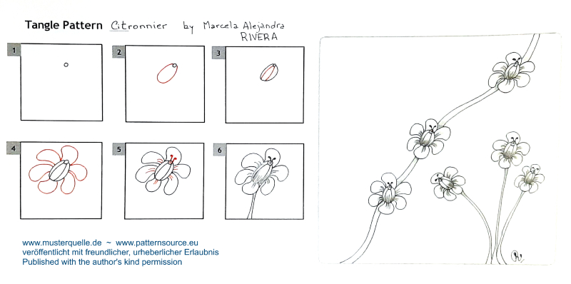 step citronnier marcela alejandra rivera