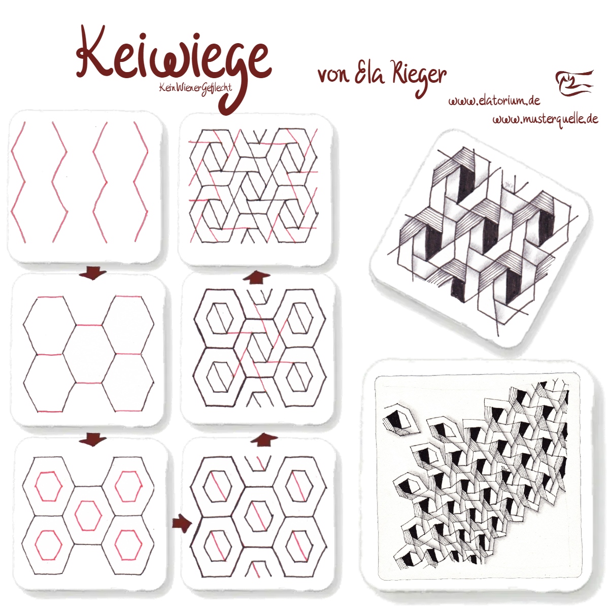 step keiwiege ela rieger