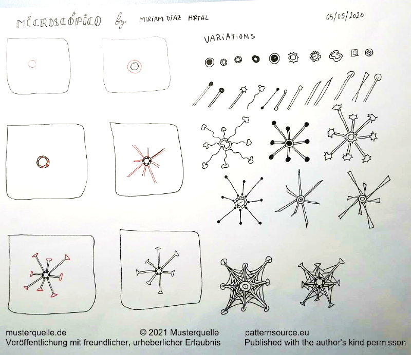 step microscopico miriam diaz hortal