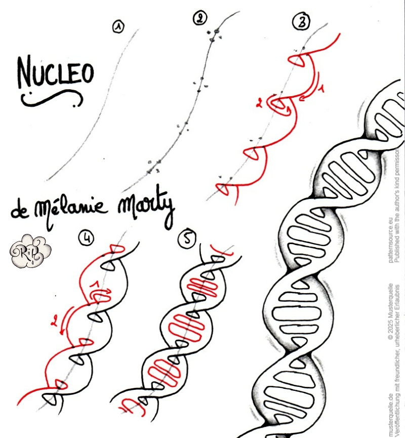 nucleo 