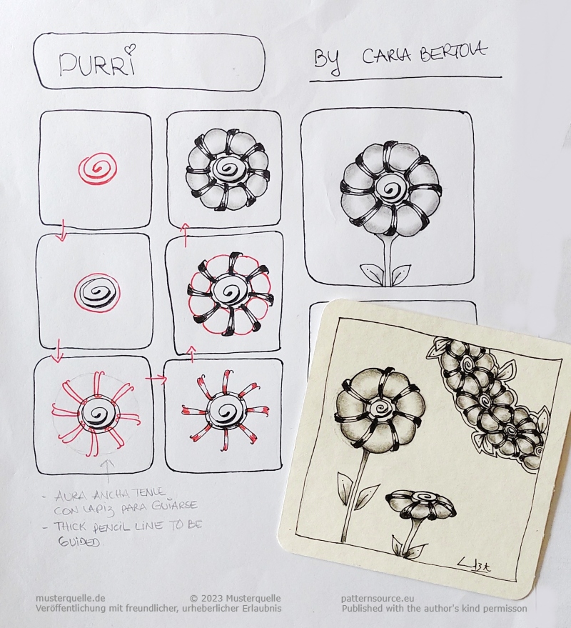 purri carla bertola