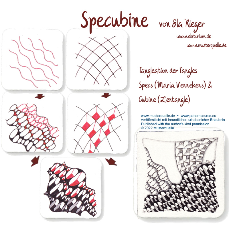 step specubine ela rieger
