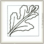 kF_M003