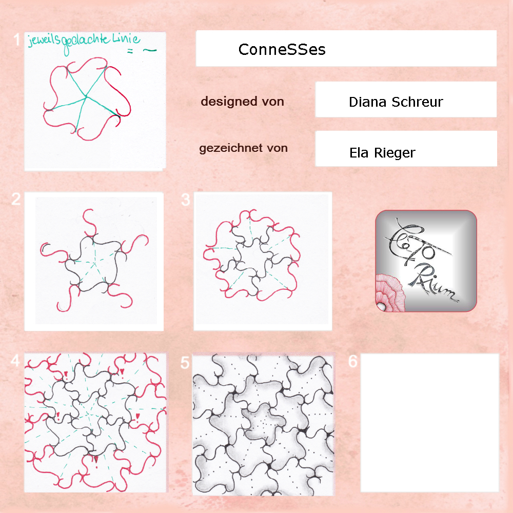 connesses steptipp