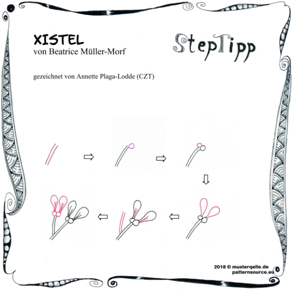 xistel step tipp
