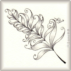 Curly Bracket Feather Annettes Version