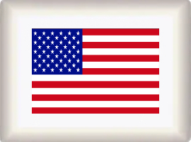 Flagge US